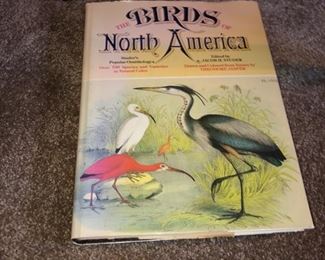 Nice vintage bird book. 