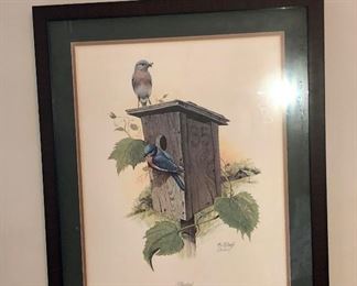 The bluebird print framed nicely