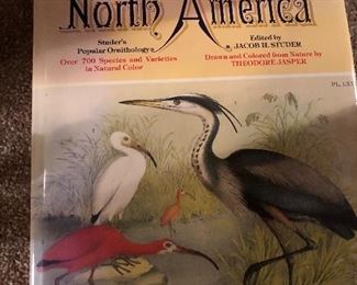 book BIRD OF NORTH AMERICA coffee table size