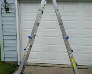 Costco Worlds Greatest Extention Ladder