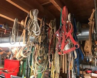 Ropes/equine material/tack
