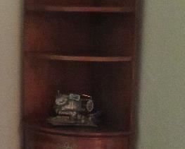 Corner lighted curio