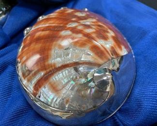 Abalone shell caviar dish or accessory dish.