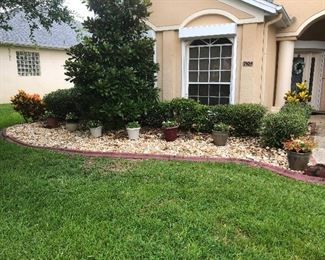 Assorted pots with plants 
Ceramic ones $15 each