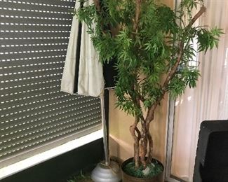 Large tree $40 
umbrella  $30