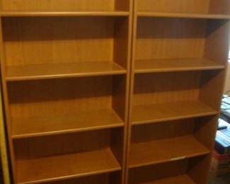 6' shelves with adjustable shelves
