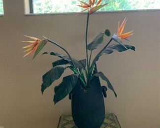 Bird of paradise $75