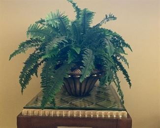 Fern $25