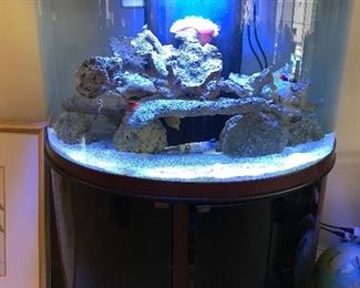 AQUARIUM, COMPLETE