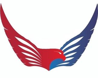 american Eagle Logo