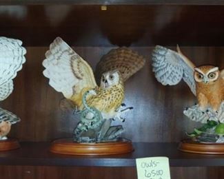Large owl collection