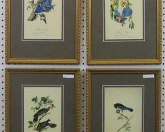9001  Antique Birds by John Audubon