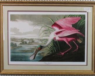 9014 Roseate Spoonbill by John Audubon