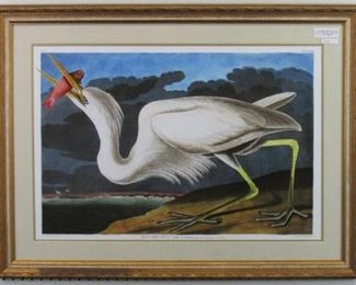 9013 Great White Heron by John Audubon