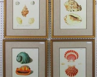 9015 Antique Shells by John Audubon