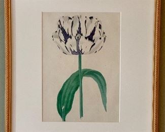 Item 19:  Botanical prints from Florist Magazine, 1836, hand colored engravings, 13" x 17.5": $75ea