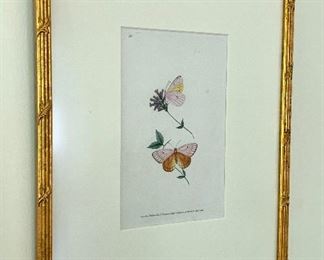 Item 46:  (3) Butterfly prints - 12" x 15.5": $75