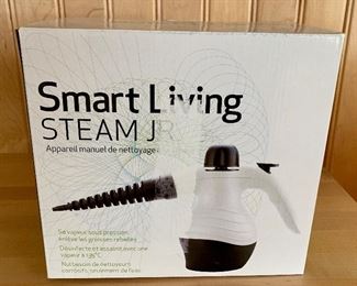 Item 288:  Apparel steamer: $20