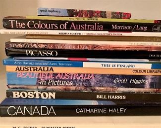 Item 185:  Lot of coffee table books: $35