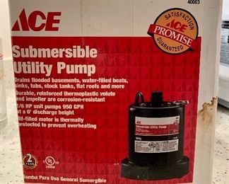 Item 220:  ACE Sub pump: $50
