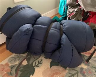 Sleeping bag: $10