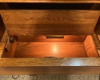 Hidden Cabinet lights up each time you open it from Michael Howard Furnishings
