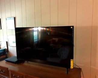 50" Vizio Flat Screen TV    $200