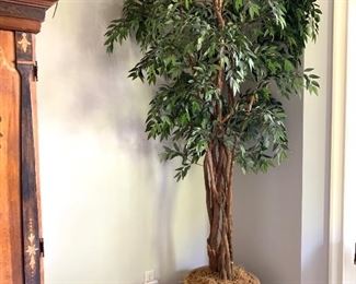9’ tall tree