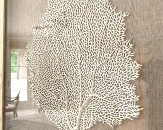 there are a pair of these framed sea-life forms