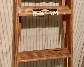 Small ladder: $20