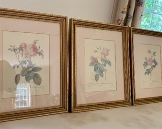 Three botanical Prints, beautifully framed: Set $75