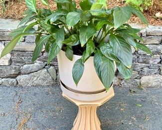 Plant on plant stand: $38 