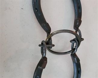 Horse Shoe Brain Game