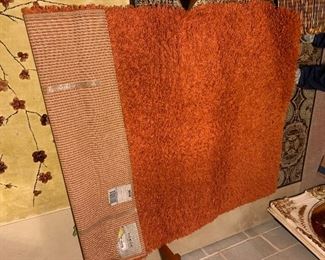 PLL 41 Shag Carpet @ $60 