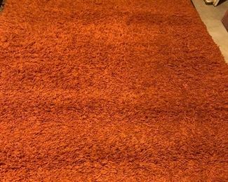 PLL 41 Shag Carpet @ $60 