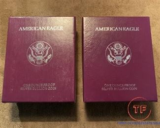 American Eagle SILVER Bullion Coins