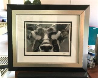 Giraffe wall art
