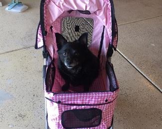 Dog carrier stroller
