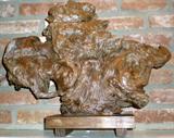 Mounted driftwood.