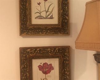 botanical lithographs that have been professionally framed