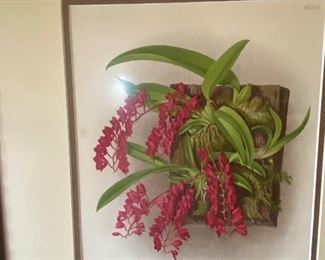 Original Orchid Lithograph by Robert Warner, circa 1891. Plate no. 351.