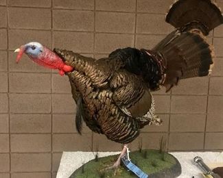 Turkey on Green Base $200.00