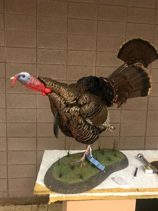 Turkey on Green Base $200.00