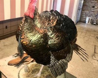 Turkey on wood base $250.00