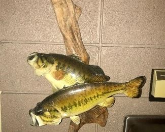 Two Bass on Wood $50,00