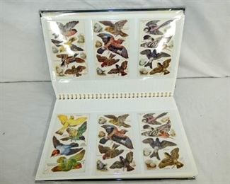 EARLY UNUSUAL BOOK BUTTERFLY POSTCARDS 
