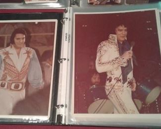 Hundreds of Elvis pictures!