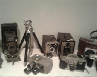 assorted vintage cameras