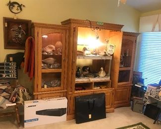 Lighted Display / Entertainment Media Cabinet