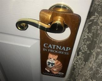 Catnap Time